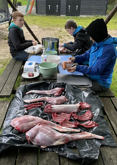 Rådyr der er parteret