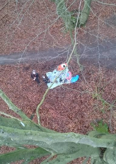 Udsigt oppe fra et højt træ