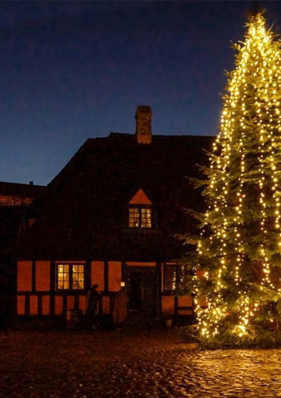 juletræ på torvet